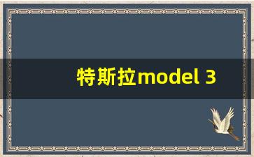 特斯拉model 3充满多少度,model3标续多少度电